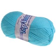 119. 'Top Value' DK Acrylic - Turquoise 847