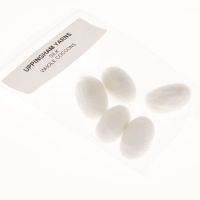 Clicca per ingrandire