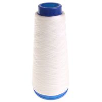 Cliquer pour agrandir