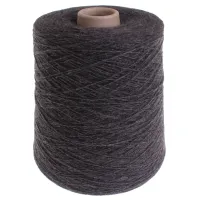 Cliquer pour agrandir