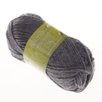 Cliquer pour agrandir