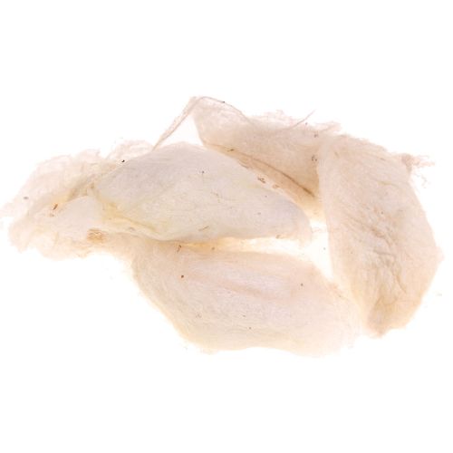 107. Silk - Eri Cocoons