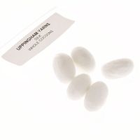 Clicca per ingrandire